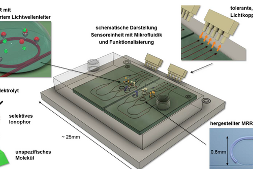Diese Abbildung zeigt ein Mikrosystem mit einem einzelnen MRR (Microrefractive Resonator) und funktionalisierten Lichtwellenleitern. Sie stellt schematisch eine Sensorik mit Mikrofluidik und Funktionalisierung dar, unter Nutzung eines selektiven Ionophors zur Erkennung spezifischer Moleküle.