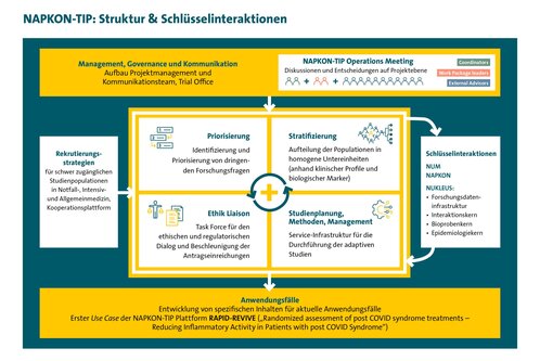 Der NAPKON-TIP zeigt die Struktur und Schlüsselinteraktionen des Projekts. Thematisiert werden Management, Priorisierung, Strategieentwicklung, Ethik, Studienmethoden und Anwendungsfälle im Kontext von COVID-19. Ziel ist die Verbesserung der Patientenversorgung durch Forschung und Diskussion relevanter Themen.
