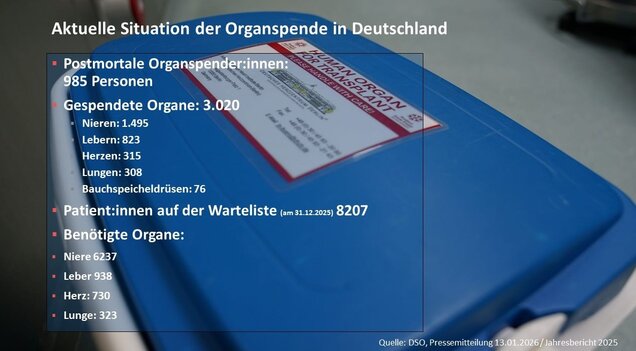 Aktuelle Situation der Organspende in Deutschland: Es gibt 985 postmortale Organspender:innen und 3.020 gespendete Organe, darunter 1.495 Nieren und 823 Leber. Auf der Warteliste stehen 8.207 Patient:innen, die verschiedene Organe benötigen, z.B. 6.327 Nieren und 730 Herzen.