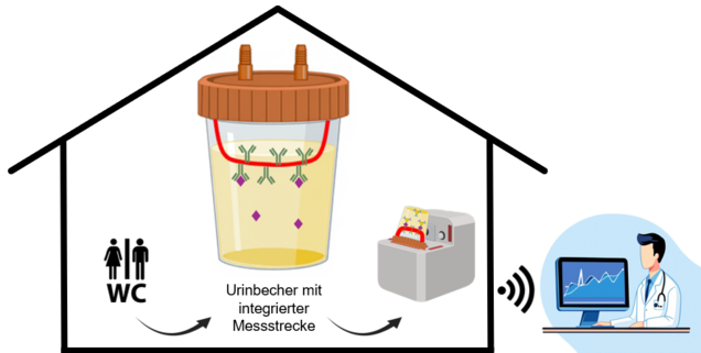 Eine Infografik zeigt einen Urinbecher mit integrierter Messstrecke, der Informationen zur Urinabgabe bereitstellt. Zwei Symbole zeigen die WC-Nutzung und einen Arzt am Computer, der Daten analysiert. Die Darstellung verdeutlicht ein System zur Überwachung der Gesundheit.