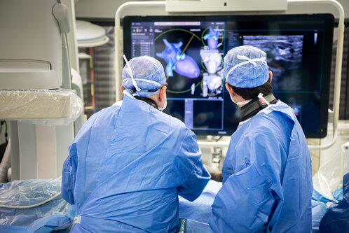 Zwei Ärzte in blauer OP-Kleidung betrachten konzentriert einen Monitor, der medizinische Bildgebungen zeigt. Die Bilder scheinen Herzstrukturen und andere anatomische Details darzustellen. Der Raum wirkt hochmodern und ist gut ausgestattet für medizinische Eingriffe.