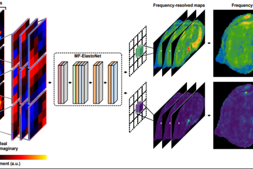Das Bild zeigt verschiedene Frequenzkarten und ihre kombinierten Darstellungen zur Analyse von Wellenverschiebungen. Es enthält visuelle Darstellungen von realen und imaginären Frequenzen sowie mehrschichtige Karten, die die Frequenzdaten verdeutlichen. Die Farben repräsentieren unterschiedliche Amplituden in Bezug auf die Wellenverschiebung.