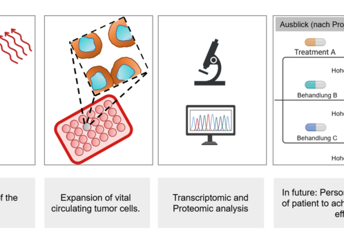 Dieses Bild zeigt den Prozess der isolierten vitalen Tumorzellen, deren Expansion und anschließende analysierende Methoden wie Transkriptomik und Proteomik. Es wird die zukünftige personalisierte Behandlung von Patienten diskutiert, um hohe Arzneimittelwirkungen zu erzielen.