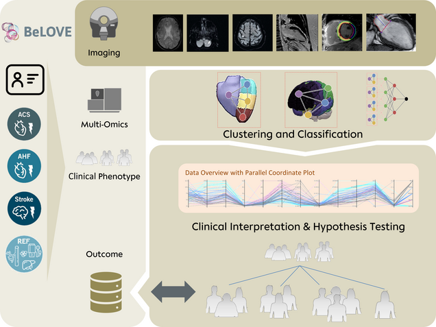 Diagramm zur Darstellung des "BeLOVE"-Projekts. Es umfasst Bereiche wie Bildgebung, Multi-Omics, klinische Phänotypen, Clusterung und Klassifikation sowie klinische Interpretation und Hypothesentests, die alle auf die Ergebnisse ausgerichtet sind.