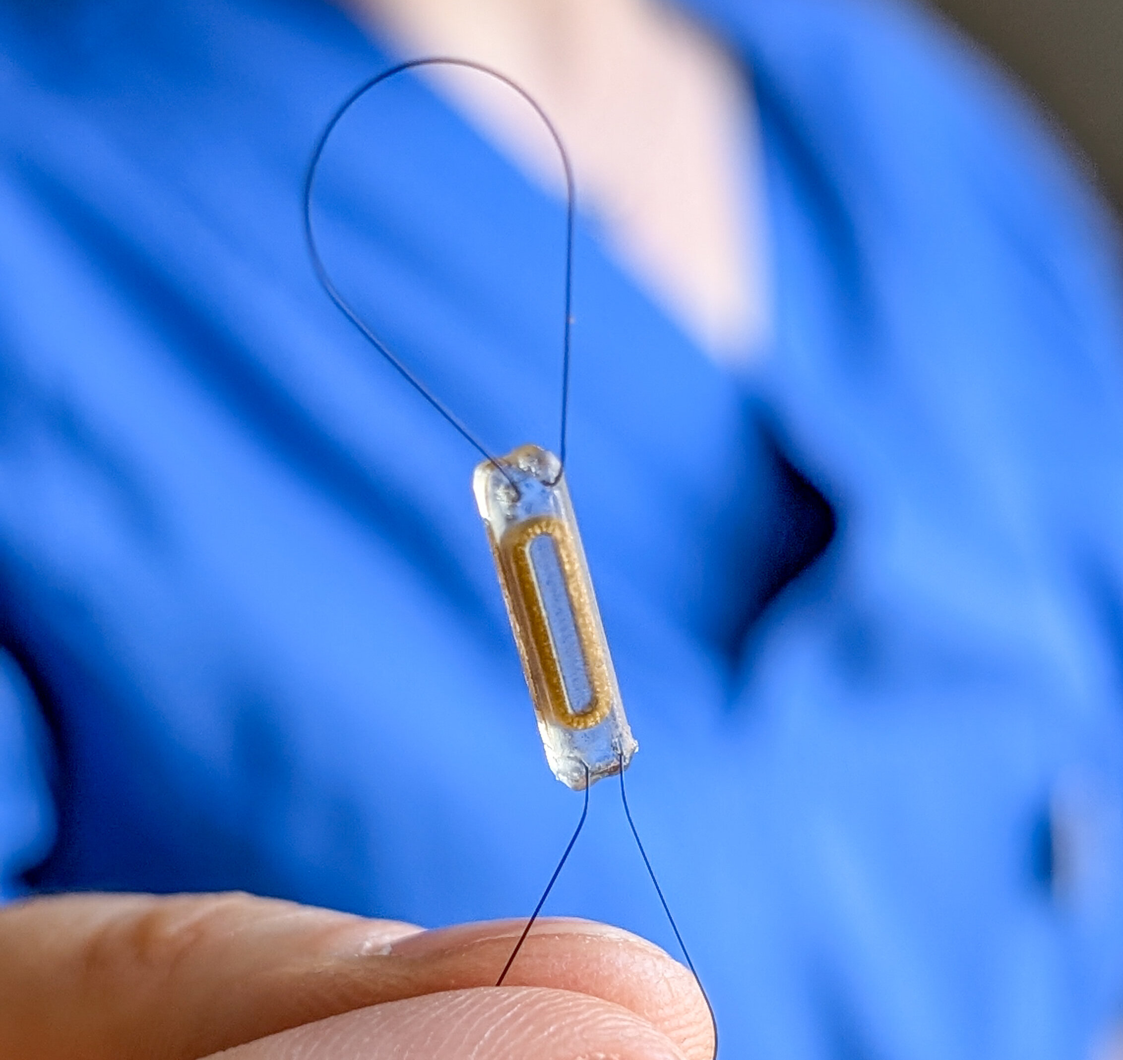 Eine Person hält einen kleinen medizinischen Sensor in der Hand, der eine transparente Hülle mit einem goldenen Element enthält. Der Sensor ist an zwei dünnen Drähten befestigt. Die Person trägt einen blauen Kittel.