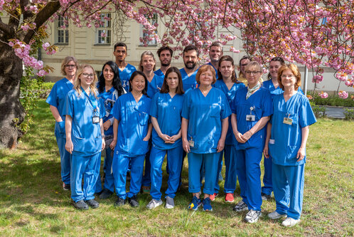 Eine Gruppe von 16 Personen in blauen Arbeitsanzügen steht unter einem blühenden Kirschbaum. Sie lächeln und sind in einem sonnigen Garten positioniert, umgeben von Gras und Blüten. Die Stimmung ist freundlich und kollegial.