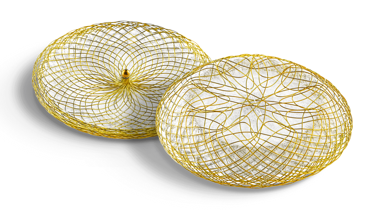 Zwei runde Objekte sind zu sehen, jeweils von einem feinen, goldfarbenen Drahtgeflecht umgeben. Die Oberflächen sind glatt und hell, was einen eleganten und modernen Eindruck hinterlässt. Die Objekte scheinen dekorativ zu sein, angeordnet auf einem schwarzen Hintergrund.