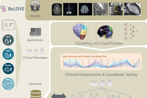 Das Bild zeigt eine Übersicht des BeLOVE-Projekts, das sich mit bildgebenden Verfahren, Mult-Omics, klinischen Phänotypen und Ergebnissen beschäftigt. Es sind Grafiken zu Clustering, Klassifikation und klinischer Interpretation abgebildet sowie ein Parallelkoordinaten-Diagramm zur Datenauswertung.
