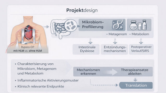 Projektdesign zur Untersuchung des Mikrobioms bei Bypass-Operationen mit und ohne Herz-Lungen-Maschine. Fokus auf Mikrobiom-Profilierung, Metagenom und Metabolom sowie deren Einfluss auf Entzündungsmechanismen und postoperative Verlaufsformen. Ziel ist die Identifizierung von relevanten Therapieansätzen.