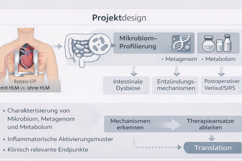 Projektdesign zur Untersuchung des Mikrobioms bei Bypass-Operationen mit und ohne Herz-Lungen-Maschine. Fokus auf Mikrobiom-Profilierung, Metagenom und Metabolom sowie deren Einfluss auf Entzündungsmechanismen und postoperative Verlaufsformen. Ziel ist die Identifizierung von relevanten Therapieansätzen.