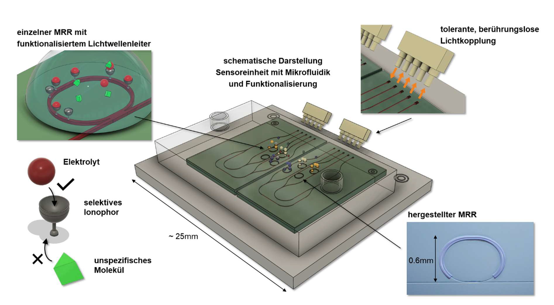 Diese Abbildung zeigt ein Mikrosystem mit einem einzelnen MRR (Microrefractive Resonator) und funktionalisierten Lichtwellenleitern. Sie stellt schematisch eine Sensorik mit Mikrofluidik und Funktionalisierung dar, unter Nutzung eines selektiven Ionophors zur Erkennung spezifischer Moleküle.