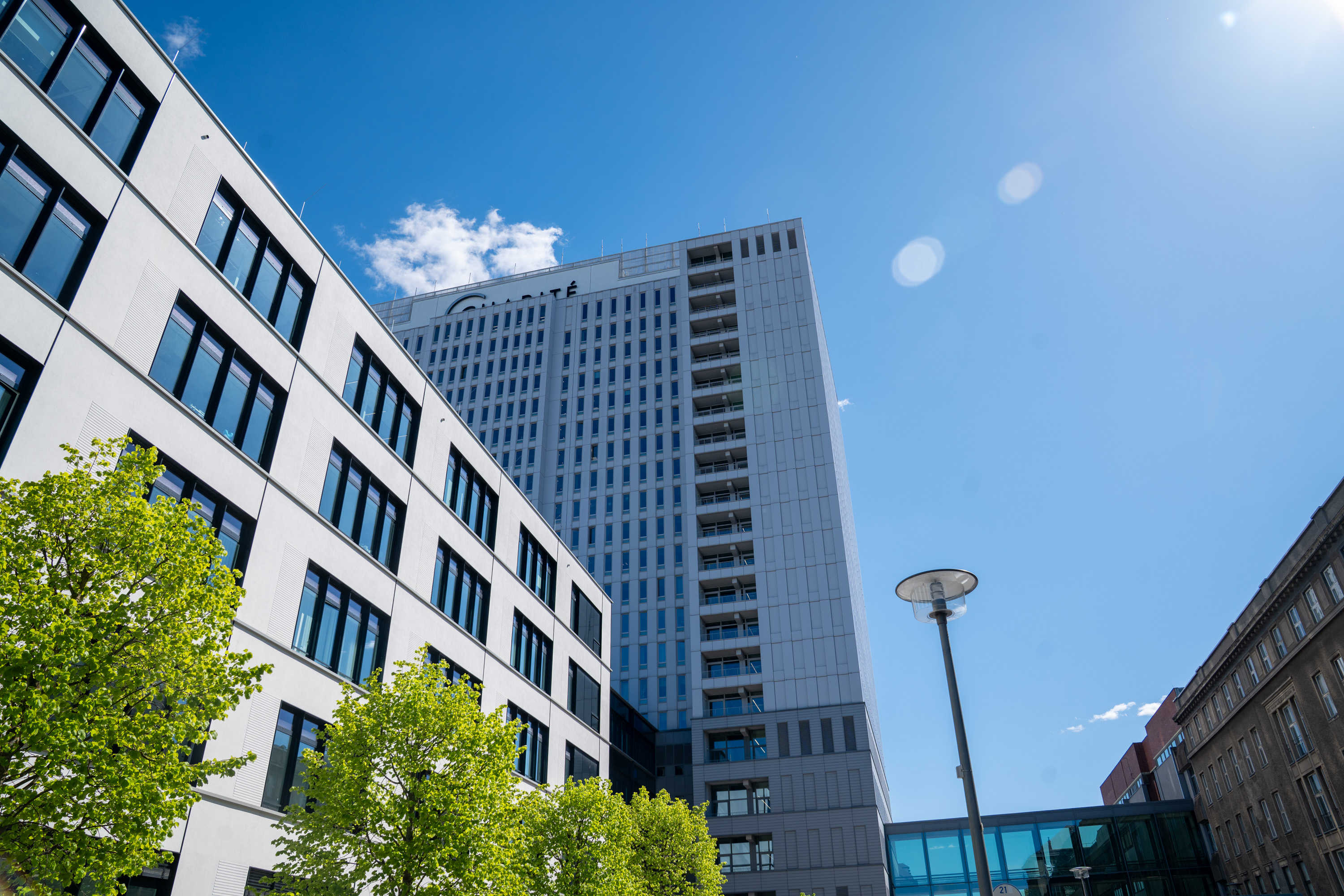 Eine moderne städtische Landschaft mit einem hohen Gebäude in hellem Grau im Hintergrund. Im Vordergrund stehen moderne Bauwerke mit großen Fenstern und frischem, grünem Laub von Bäumen. Der Himmel ist klar und blau mit wenigen weißen Wolken.